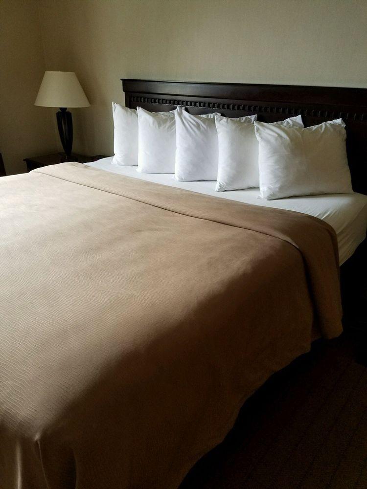 Quality Inn Florence Extérieur photo